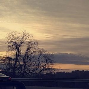 Meet your Posher, Isabelle